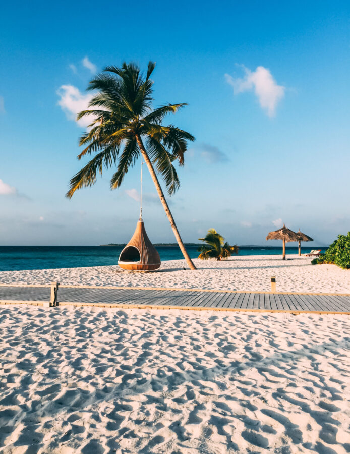 Maldives island luxury resort palm tree with hanging hammock Maldives island luxury resort palm tree with hanging hammock